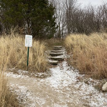 Montrose Point Bird Sanctuary - Steps up into Sanctuary - Hiking Near Me - Chicago, Illinois Montrose Point Bird Sanctuary - Steps up into Sanctuary - Hiking Near Me - Chicago, Illinois