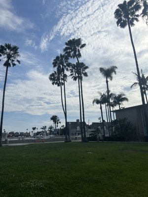 The Colonnade by null