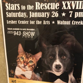 Joybound People & Pets - Stars to the rescue - Animal Shelters Near Me - Walnut Creek, California Joybound People & Pets - Stars to the rescue - Animal Shelters Near Me - Walnut Creek, California