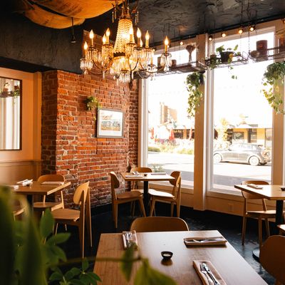 The Black Cypress by null