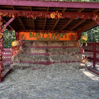 Burt's Pumpkin Farm - Fruits & Veggies Near Me - Dawsonville, Georgia Burt's Pumpkin Farm - Fruits & Veggies Near Me - Dawsonville, Georgia