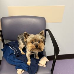 Kaiser Permanente Fontana Mental Health Offices - My shoosh being so good