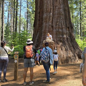 Calaveras Big Trees State Park - Parks Near Me - Arnold, California