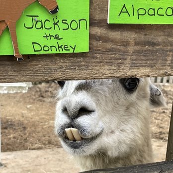 ​Happi Farm - Community Service/Non-Profit Near Me - Davie, Florida