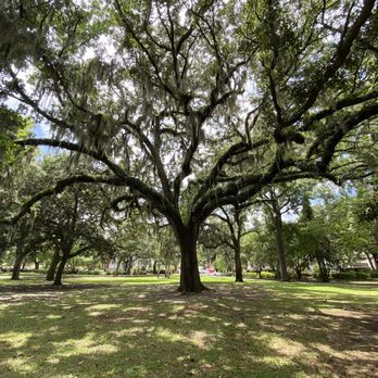 Forsyth Park - Parks Near Me - Savannah, Georgia Forsyth Park - Parks Near Me - Savannah, Georgia