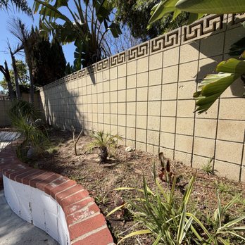Edgar Landscaping - Before pic - Tree Services Near Me - Wilmington, California