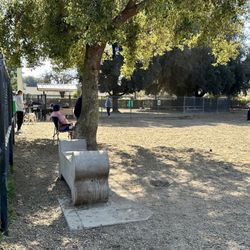 Modesto Dog Park - Large dog park area from back looking toward gate