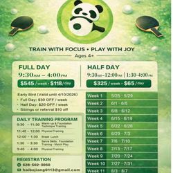 Dream Pong TTC - Camp info