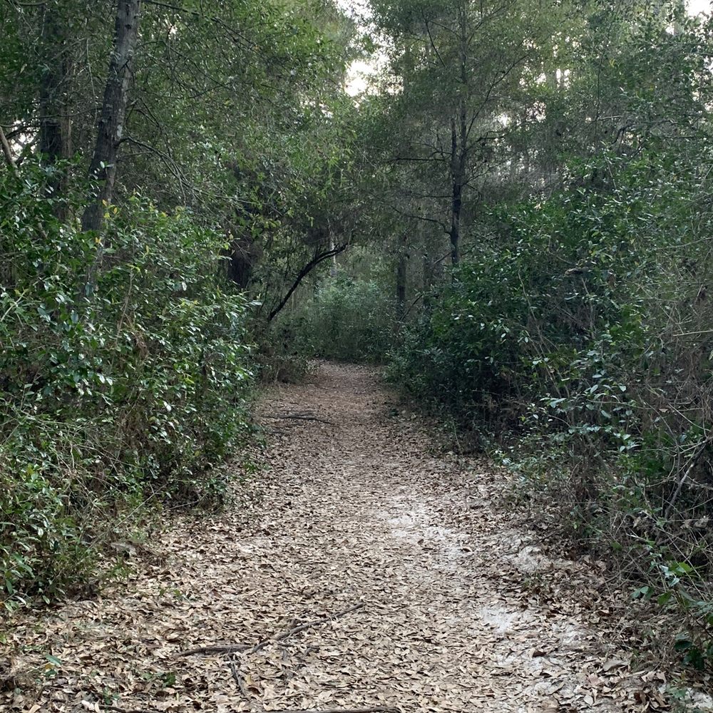 Lake Houston Wilderness Park - Peach Creak Loop - Parks Near Me - New Caney, Texas Lake Houston Wilderness Park - Peach Creak Loop - Parks Near Me - New Caney, Texas