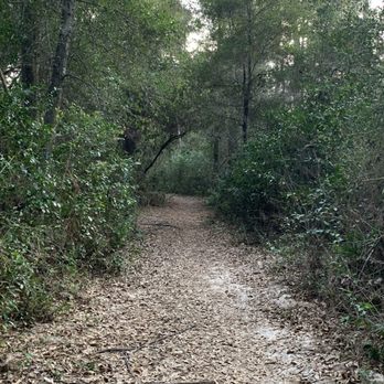 Lake Houston Wilderness Park - Peach Creak Loop - Parks Near Me - New Caney, Texas Lake Houston Wilderness Park - Peach Creak Loop - Parks Near Me - New Caney, Texas
