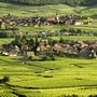 Photo of La Route des Vins