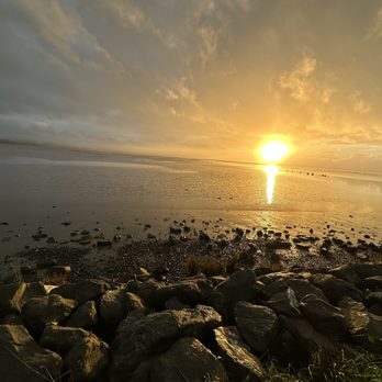 Arcata Marsh Interpretive Center - Museums Near Me - Arcata, California