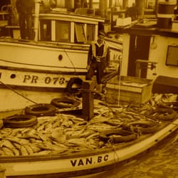Sundance Seafoods