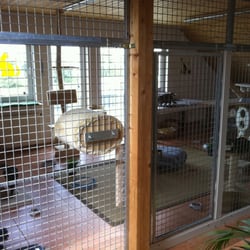 Katzenpension Nersingen