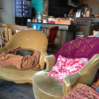 Starfish & Coffee - Coffee & Tea Near Me - Antwerp, VAN Starfish & Coffee - Coffee & Tea Near Me - Antwerp, VAN