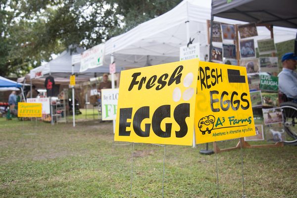 Orange Park Farmers' & Arts Market by null