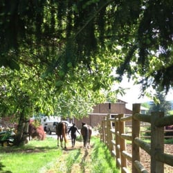 Savin Hill Farm