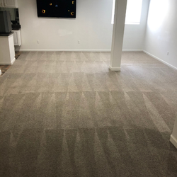First Choice Carpet Cleaning