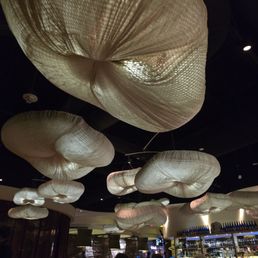 Funky/Trendy light coverings Funky/Trendy light coverings