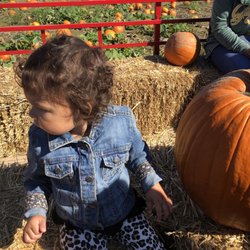 Spieker's Pumpkin Farm