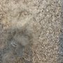 Photo of All Bright Carpet Cleaning