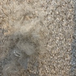 All Bright Carpet Cleaning