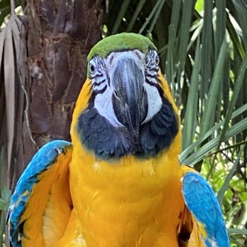 Brevard Zoo - Zoos Near Me - Melbourne, Florida Brevard Zoo - Zoos Near Me - Melbourne, Florida