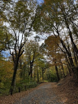 East Rock Park by null