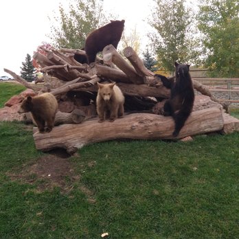 Bear Country USA - Zoos Near Me - Rapid City, South Dakota