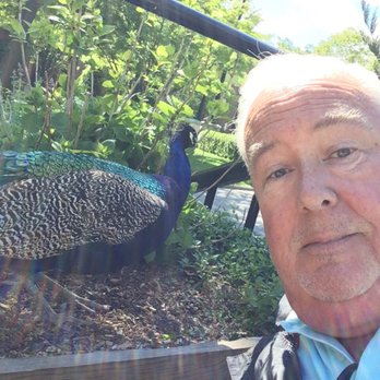 Prospect Park Zoo - Feed a peacock, he'll be your friend - Zoos Near Me - Brooklyn, New York Prospect Park Zoo - Feed a peacock, he'll be your friend - Zoos Near Me - Brooklyn, New York