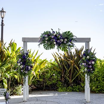Plant Hawaii - The Wedding arch is beautiful! - Nurseries & Gardening Near Me - Waimanalo, Hawaii Plant Hawaii - The Wedding arch is beautiful! - Nurseries & Gardening Near Me - Waimanalo, Hawaii