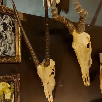 Prometheus Esoterica - Antiques Near Me - Winter Park, Florida Prometheus Esoterica - Antiques Near Me - Winter Park, Florida