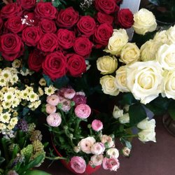 Bella Rosa