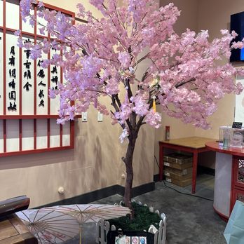 Ume Tea - Cherry blossom tree - Bubble Tea Near Me - Mountain View, California Ume Tea - Cherry blossom tree - Bubble Tea Near Me - Mountain View, California