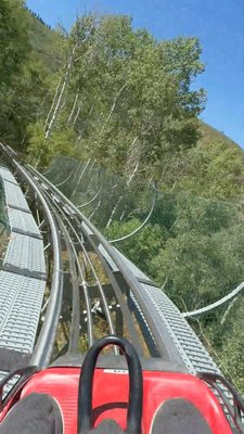 Park City Alpine Slide by null