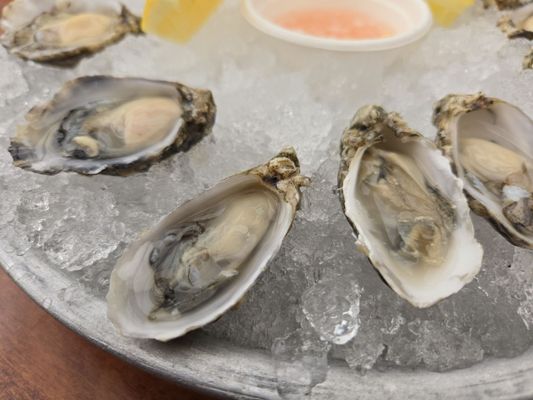 Tidal Boar Foods: The Shuck Truck by null