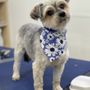 Wag’n Wiggles Mobile Grooming