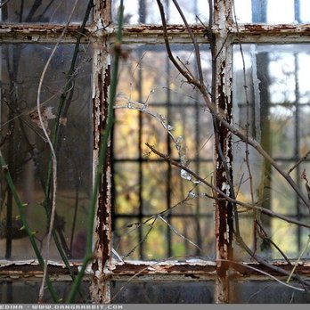 Nissequogue River State Park - Broken windows - Parks Near Me - Kings Park, New York Nissequogue River State Park - Broken windows - Parks Near Me - Kings Park, New York