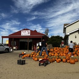 a pile of pumpkins in front of a store a pile of pumpkins in front of a store