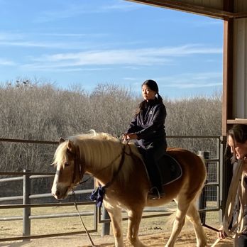 Laurel Ridge Stables - Horse - Horseback Riding Near Me - Rowlett, Texas Laurel Ridge Stables - Horse - Horseback Riding Near Me - Rowlett, Texas