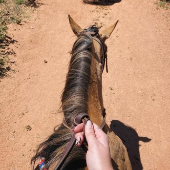 Academy Riding Stables - Skeeter - Horseback Riding Near Me - Colorado Springs, Colorado