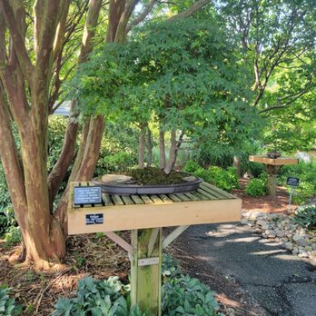 Norfolk Botanical Garden - Venues & Event Spaces Near Me - Norfolk, Virginia Norfolk Botanical Garden - Venues & Event Spaces Near Me - Norfolk, Virginia