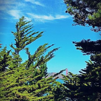 Lands End - A sight even amongst and over the terabithia trees - Parks Near Me - San Francisco, California Lands End - A sight even amongst and over the terabithia trees - Parks Near Me - San Francisco, California