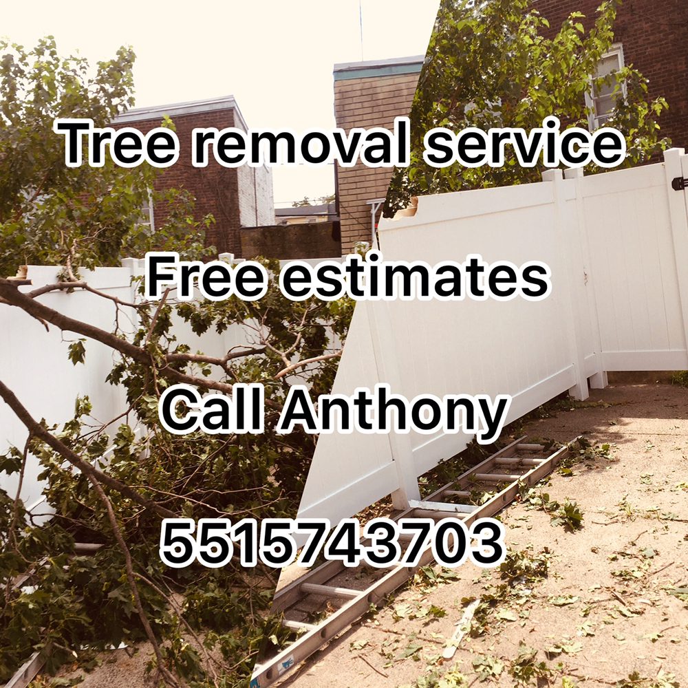 Slide of Anthony's A+ Handy Man Service