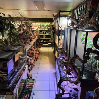 Charismatic Creatures - Reptile Shops Near Me - Ventura, California Charismatic Creatures - Reptile Shops Near Me - Ventura, California
