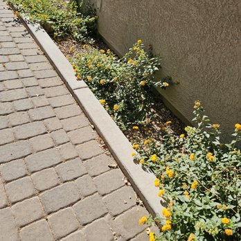 Az New Leaf Landscaping - Lawn Services Near Me Az New Leaf Landscaping - Lawn Services Near Me