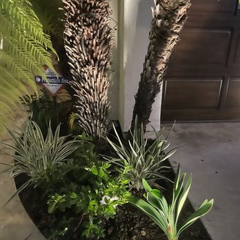 Lopez Garden Services - Front entry - Gardeners Near Me