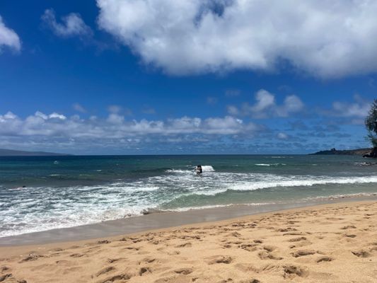 D.T. Fleming Beach Park by null
