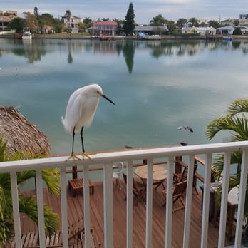 Sta'n Pla Motel - Our fairweather cocktail hour friend... - Hotels Near Me - Clearwater, Florida Sta'n Pla Motel - Our fairweather cocktail hour friend... - Hotels Near Me - Clearwater, Florida