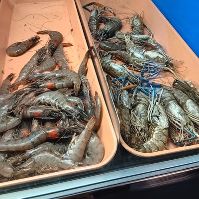 Frying Seafood by null